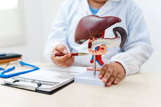 Liver Health (FibroScan)